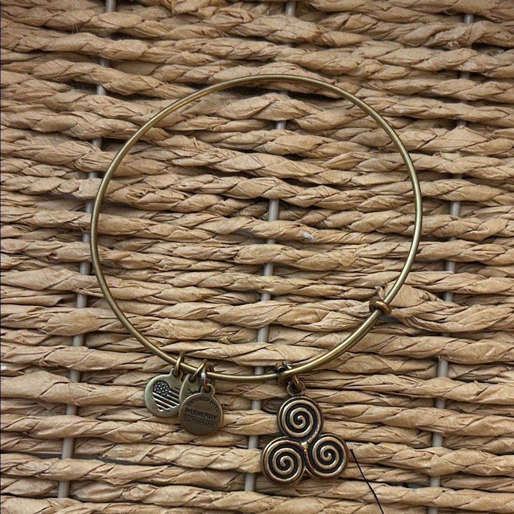 Alex and Ani Gold Charm Bracelet